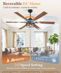 60 Inch Farmhouse Industrial Ceiling Fan With Lights And Remote, Black Cage Design With Reversible DC Motor, living room view