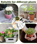 All In One Bonsai Tools Set For Beginners And Hobbyists, 9 Piece Mini Garden Kit with Pruning Shears, Mini Rake, Fold Scissors, Tweezers, and various plants