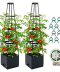 2 Pack Raised Garden Bed Planter Box With Trellis, 57 Inch Self Watering Tomato Planters For Climbing Plants, with accessories