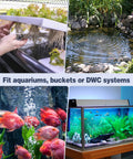 Pawfly aquarium air pump for up to 5-gallon tanks; Amazon brand, 20 GPH, compact and quiet with tubing and air stones.
