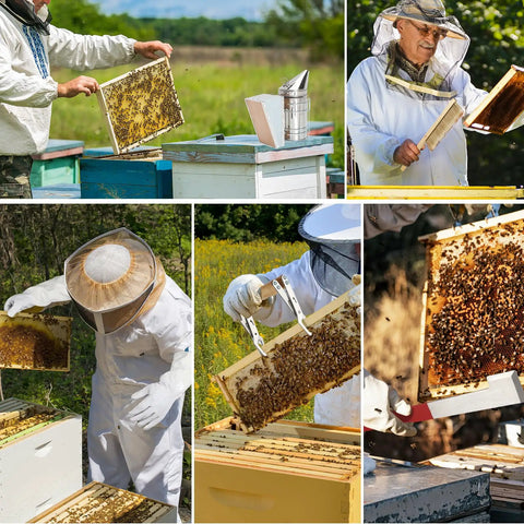 All In One Beekeeping Starter Kit For Beginners With 12 Tools Including Bee Smoker Bee Brush Frame Grip J Hook Hive Tool Feeder Uncapping Fork Gloves And Organizer Tote For Easy Hive Setup And Bee Supplies