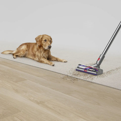 V15 Detect Total Clean Extra Refurbished Premium Vacuum Cleaner With Laser Dust Detection cleaning carpet beside a dog on hardwood floor