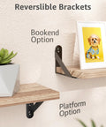 Heavy Duty Steel Wall Mount Shelf Brackets 4x3 Inch Black L Brackets with Bookend and Platform options on display.