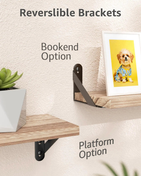Heavy Duty Steel Wall Mount Shelf Brackets 4x3 Inch Black L Brackets with Bookend and Platform options on display.