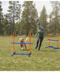 Person and dog using 6 Piece Dog Agility Jumps And Hurdles Set With Adjustable Heights Portable Storage Bag Pro Grade Backyard Obstacle Courses