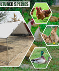 Walk In Large Metal Chicken Coop With Waterproof UV Cover Farm Ready Outdoor All Weather Galvanized Steel Poultry Pen for Yard Use, images of chickens, rabbits, and ducks