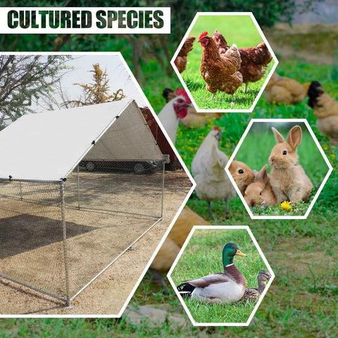 Walk In Large Metal Chicken Coop With Waterproof UV Cover Farm Ready Outdoor All Weather Galvanized Steel Poultry Pen for Yard Use, images of chickens, rabbits, and ducks