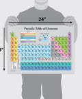 Three Pack Laminated 3 Mil Periodic Table Of Elements Poster Grey And Muscular And Skeletal System Anatomy Posters 18 By 24 Inches