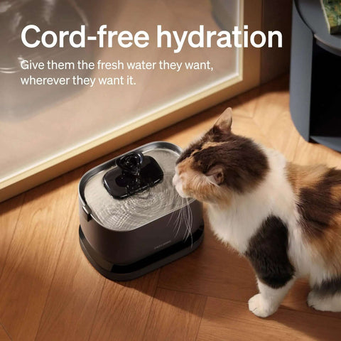 Cat drinking from cordless battery operated cat water fountain with 2.5L capacity 84oz stainless steel tray BPA free for fresh water.