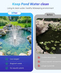 Before and after images of a pond using 660GPH Pond Filter With RGB Auto Cycle LED Lights And Built In 40W Pump All In One Durable 3 Stage Filtration.