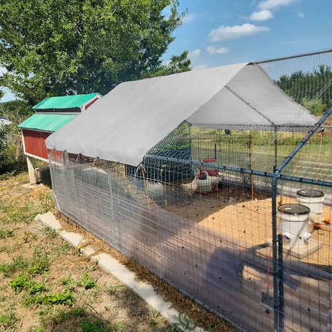 Heavy Duty Tough As Nails Waterproof Tarp 10x12 Ft used as roof cover for outdoor chicken coop, with grommets and reinforced edges