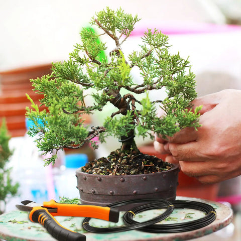 Five Roll Aluminum Bonsai Wiring Kit With Cutter, 1mm 1.5mm 2.0mm Wires in use with small bonsai tree and tools displayed.