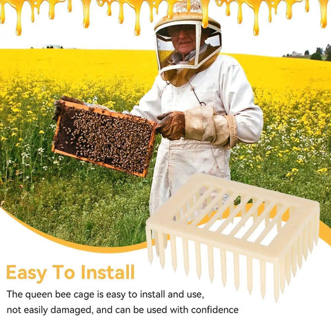 Beekeeper holding frame next to Beekeeping Queen Marker Cage Kit 20 Pack Clip Bee Catcher For Apiary Management And Hive Maintenance
