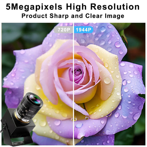 Five Megapixel Global Shutter USB Camera with high-resolution comparison on a rose