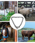 Stainless Steel Gate Chain Lock 20 Inch With Dual Carabiners Weatherproof, shown with animals and fences, for outdoor use