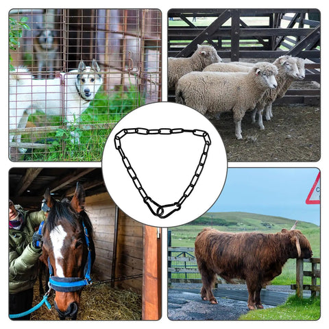 Stainless Steel Gate Chain Lock 20 Inch With Dual Carabiners Weatherproof, shown with animals and fences, for outdoor use