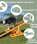 Dog on 71 Inch Wooden Dog Agility Seesaw For Training And Exercise Outdoor Obstacle Courses Pro Grade Dope Fir Wood Ramp