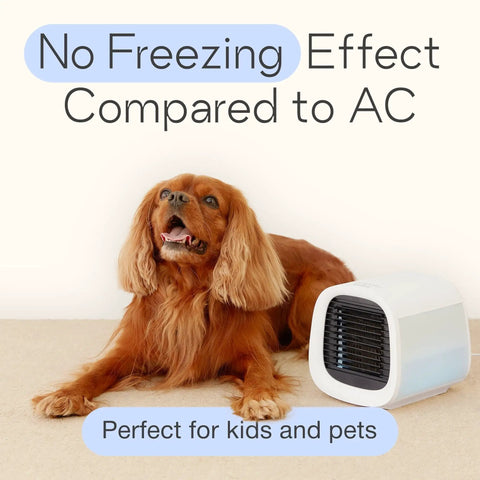Dog beside EvaCHILL Portable Air Conditioner Compact Personal Evaporative Cooler and Desk Fan for Office Car or Camping on the Go 3 in 1