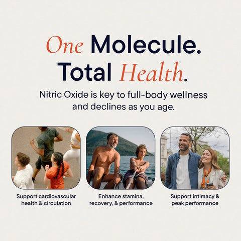 At Home Nitric Oxide Test Strips Kit For Quick Non Invasive Saliva Check Of NO Levels For Men And Women, 50 Individually Sealed Indicator Strips For Daily Health Tracking And Easy NO Insight, infographic
