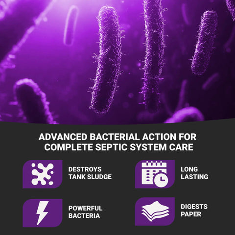 Purple bacterial action illustration for K-37-BAG Granular Septic Tank Treatment Concentrate For Odor Control Sludge Reduction.