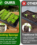 Comparison of 50 Pcs Rooting Sponges And Starter Plugs For Seedlings Or Cuttings with traditional soil showing growth results.