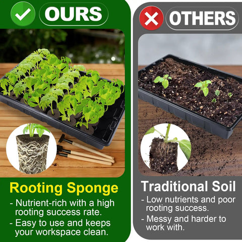 Comparison of 50 Pcs Rooting Sponges And Starter Plugs For Seedlings Or Cuttings with traditional soil showing growth results.