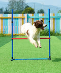 Dog jumping over adjustable high hurdle from All In One Dog Agility Training Kit For Backyard Fun with vibrant background.