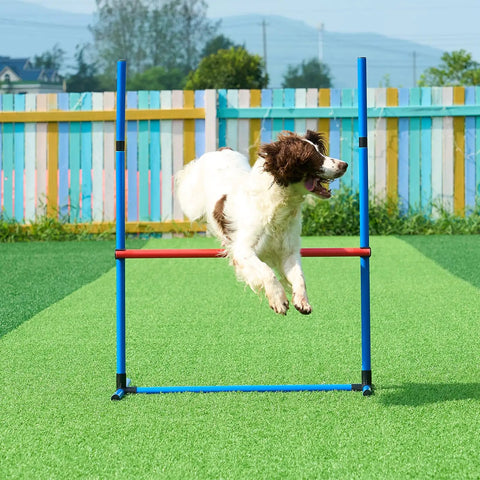 Dog jumping over adjustable high hurdle from All In One Dog Agility Training Kit For Backyard Fun with vibrant background.