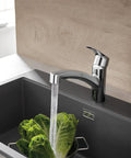 Eurosmart Dual Spray Pull Out Kitchen Faucet With Sprayer 1.75 GPM in use over a dark sink with lettuce, chrome finish visible