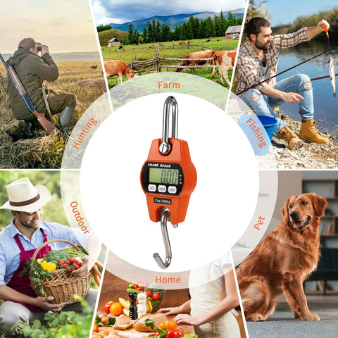 Heavy Duty Digital Crane Scale 660 Pound Capacity With Slick Backlit Lcd Screen Drop Dead Accurate Side By Side Hanging Weigher Built Tough For No Sweat Garage And Farm Loadouts That Handle Heavy Stuff Like A Champ