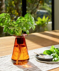 Countertop Hydroponic Garden Kit With Led Grow Light For Indoor Herbs And Lettuce, Space Saving Planter For Kitchen Or Apartment