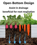 Cross-section view of Two Pack 6 By 3 By 1 Ft Galvanized Raised Garden Beds Kit showing root growth and open-bottom design for drainage.