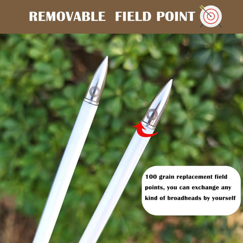 Two 100 Grain Archery Field Points For Target Practice Screw In Arrow Tips For Recurve And Compound Bows with green background