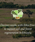 Davines works with EthioTrees for soil regeneration in Ethiopia, featuring lush greenery and a large tree.