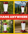 Bird Health Plus Big Gulp Hummingbird Feeder With Five Flower Shaped Ports, 40 oz glass exterior hanging outdoors, ant moat.