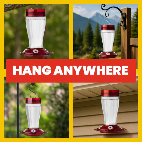 Bird Health Plus Big Gulp Hummingbird Feeder With Five Flower Shaped Ports, 40 oz glass exterior hanging outdoors, ant moat.