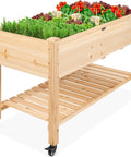 Mobile Raised Garden Bed On Wheels With Locking Casters 48 By 24 By 32 Inch Elevated Planter With Storage Shelf, natural wood finish