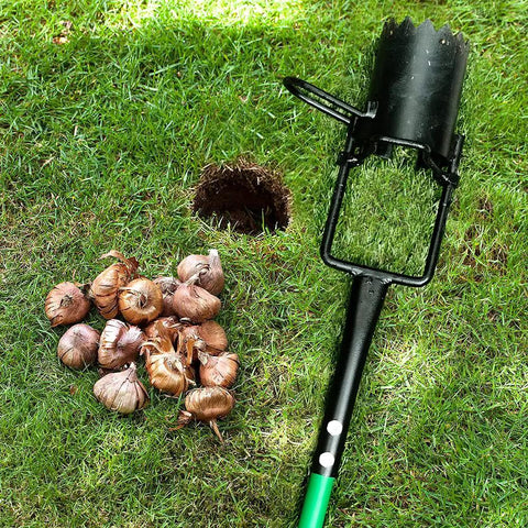 Bulb Planter And All In One Lawn Plugger Tool With Long Handle Serrated Base For Transplanting Digging Grass Plugs Soil Sampler