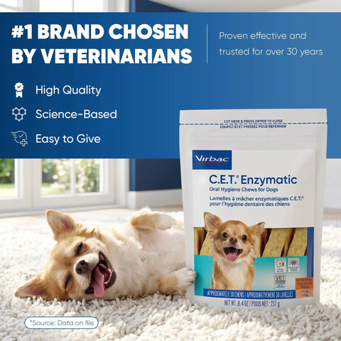 Dog Dental Chews For Small Pups, Enzymatic Formula For Plaque And Tartar Control, package next to happy small dog on carpet