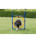 Dog jumping through Dog Agility Ring Jump 22 Inch Diameter For Training And Fun At Home Portable Pro Grade Gear in grass field