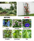 Before and after using 8.8 Foot Leanto Garden Trellis No Drill Design That Leans Against Walls For Climbing Plants PE Coated Galvanized Steel Plant Support For Flowers And Vegetables Rust Proof Space Saving Vertical Garden For Patio Or Fence