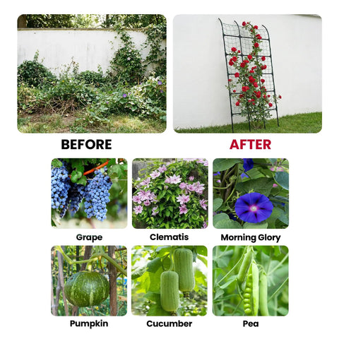 Before and after using 8.8 Foot Leanto Garden Trellis No Drill Design That Leans Against Walls For Climbing Plants PE Coated Galvanized Steel Plant Support For Flowers And Vegetables Rust Proof Space Saving Vertical Garden For Patio Or Fence