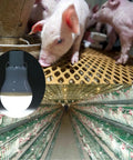Solar Powered Lamp With Remote Control shown in farm setting with piglets, showcasing portable use for night fishing and emergencies.