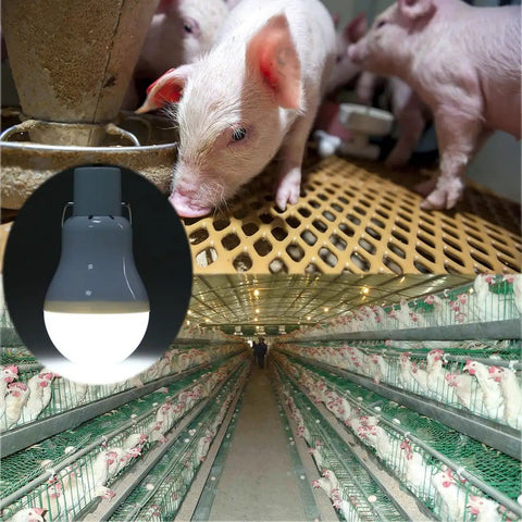 Solar Powered Lamp With Remote Control shown in farm setting with piglets, showcasing portable use for night fishing and emergencies.