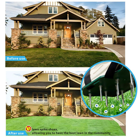 Before and after using Heavy Strap Lawn Aerator Shoes With 26 Stainless Steel Spikes for lawn and soil aeration.