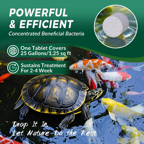 Muck Clear Natural Pond Sludge Treatment Tablets For Ponds, Fountains And Bird Baths, Beneficial Bacteria visible in water
