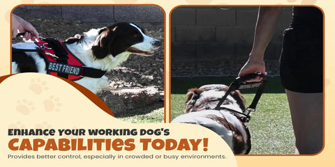 Heavy Duty Service Dog Bridge Handle Harness Attachment With Double Metal Quick Snap Clips For Working Canine Teams Needing A Legit Solid Grip And Total Zero Drama During Daily Training Runs