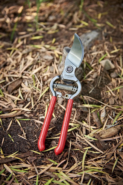ClassicCUT Forged Bypass Hand Pruner for Pruning Flowers and Shrubs Three Quarter Inch Cutting Capacity with Red Handles on Soil