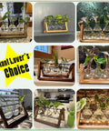 Collage of terrarium plant displays with wooden stuns and glass bulb vases for desktop hydroponics home decor