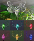 Six Pack Solar Garden Stake Lights Set With Color Changing LED Figurines Including Butterfly Dragonfly Hummingbird Bee Star Sunflower featuring a glowing dragonfly.